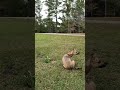 stop & scratch