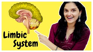 LIMBIC SYSTEM in the Brain | Anatomy and Functions of the Parts of the Limbic System | WLB