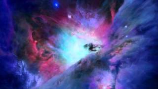 Feral Children- Me, Me, Just Me