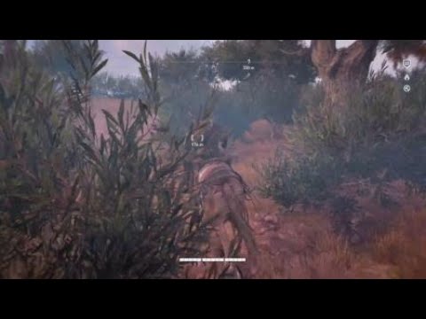 Assassin's Creed® Origins / Sa matao Paco