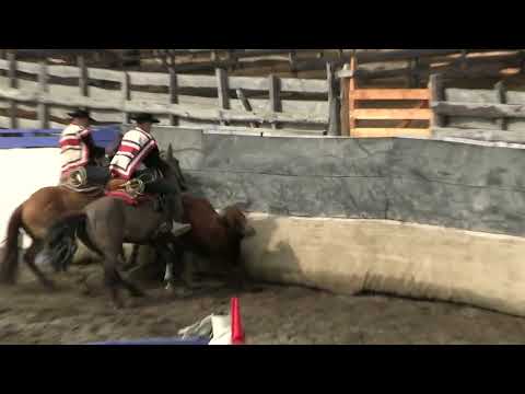 3era Serie Libre Rodeo Puerto Cisnes / Domingo 08 febrero 2026