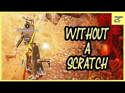 Radeka Fight (Ninja Combat Tactics) Divinity Original Sin 2