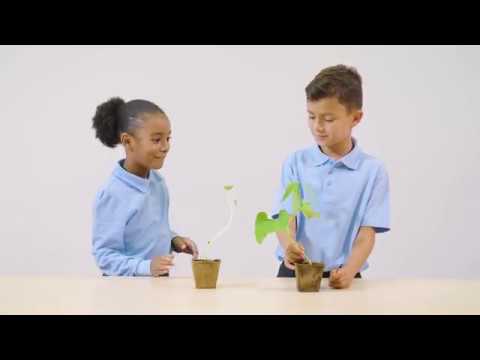 Cambridge Primary Science Digital Classroom Stage 1 – plants