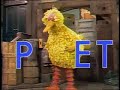 Classic Sesame Street Big Bird Spells PET Barkley