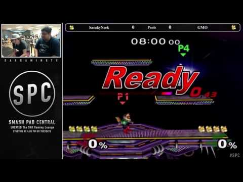SPC24 Pools - SneakyNeek (Green Fox) vs GMO (Fox)