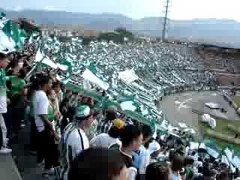 "los del sur, cuando me muera yo kiero ke mi cajon" Barra: Los del Sur &bull; Club: Atlético Nacional
