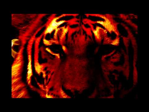 SK [ Soul King] Feat. Бате Сашо - Подай Ръка (Audio)