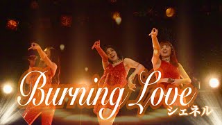 【LIVE】【cover】Burning Love / シェネル