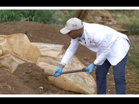 Episode 6: Making frass fertilizer