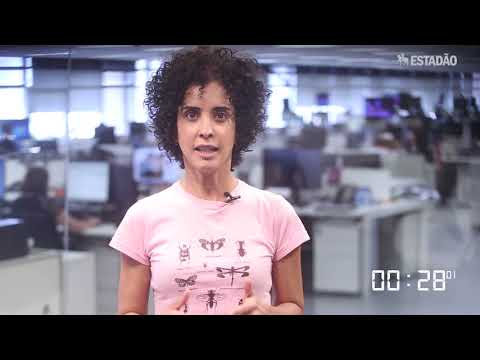 Estadão Pocket: confira apuração dos principais blocos da política