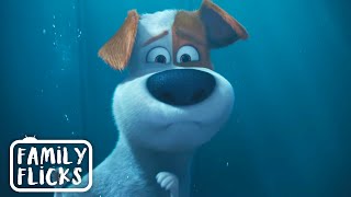 Saving Duke’s Life | The Secret Life Of Pets (2016) | Family Flicks gameplay video by pdittrich1, 3:57 duration