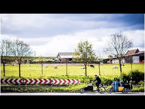 DUBGROW & BABA T gaan #NOOISNIEMIWEG ...📢📣🔊🦠🎤🎺🇲🇱🌱🔊📣📢...