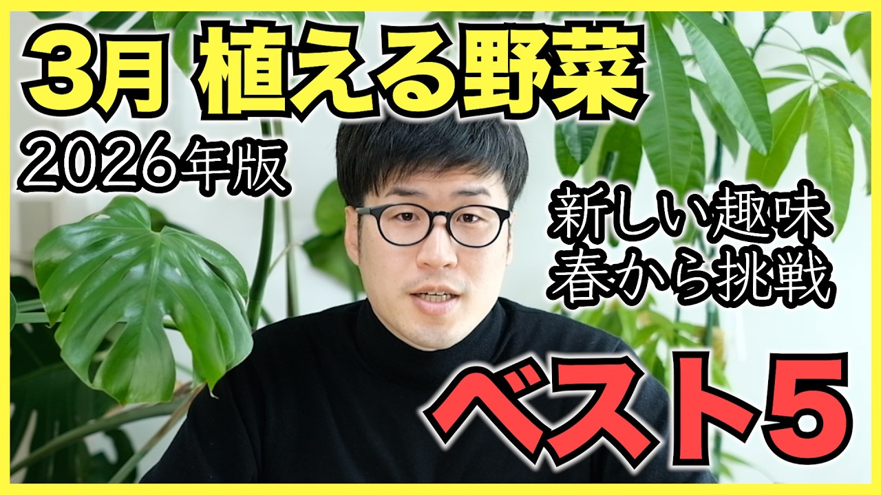 【2026年版】家庭菜園で3月に植えるおすすめ野菜ランキングベスト5【春から新しい趣味に】