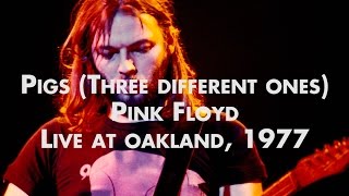 Pink Floyd - Pigs (Three Different Ones) - Live at Oakland
