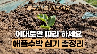 애플수박 파종 및 모종 심기 총정리 #에너지농법 #탄소농업 #유기농업 #환경농업 #자연농업 #지열 #오이파종…