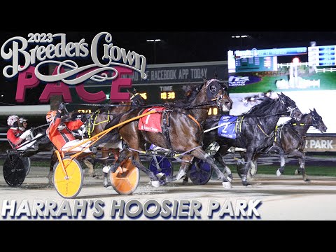 2023 Breeders Crown | Max Contract | Mare Pace