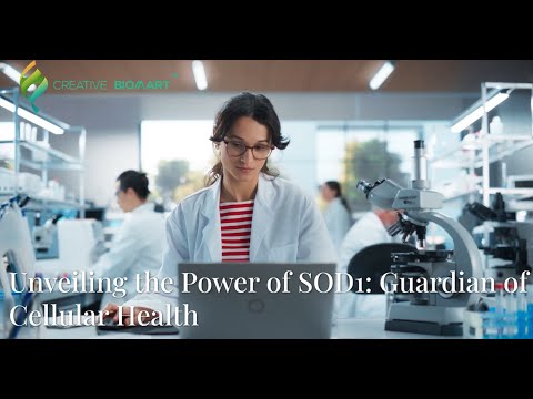 Unveiling the Power of SOD1: Guardian of Cellular Health