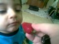 Farhan ALI WARIS Nephew BAQIL ABBAS Eating Stawbery Mp4