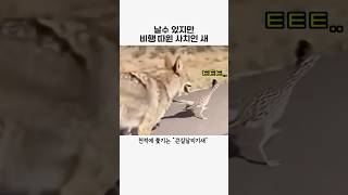 날 수 있지만 굳이 그럴 필요까지 있을까? 밉밉~ ㅎㅎ