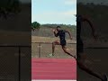 Sprinter Workout 200M Sprinter Workout