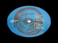 (174) LOOTPACK - Long Awaited (1999)