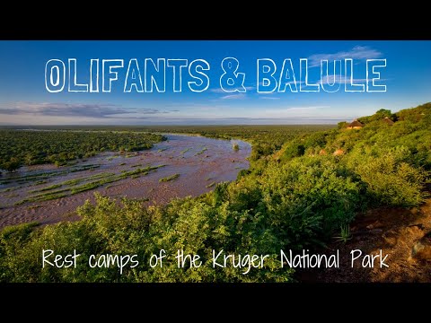OLIFANTS & BALULE Rest Camp Review | Kruger National Park Accommodation #4