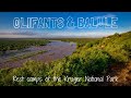 OLIFANTS & BALULE Rest Camp Review | Kruger National Park Accommodation #4