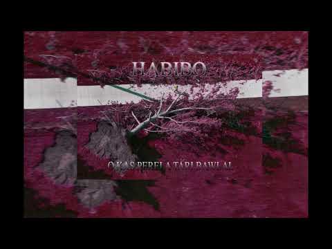 ROMANO RAP 2020 HABIBO - O KAS PERELA TARI BAWLAL ( OFFICIAL AUDIO )