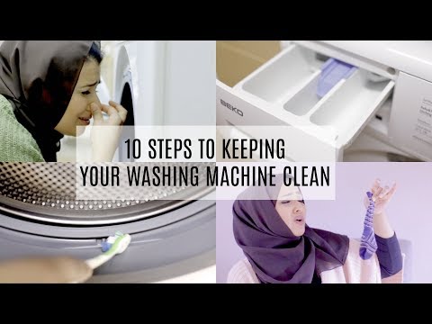 download lagu mp3 mp4 How To Clean Washing Machine Zoflora, download lagu How To Clean Washing Machine Zoflora gratis, unduh video klip How To Clean Washing Machine Zoflora