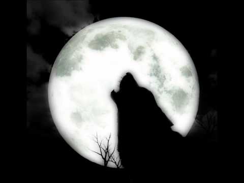 Młody Wilk - Każdy sam sobie królem