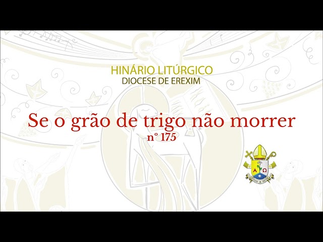 Preview do vídeo