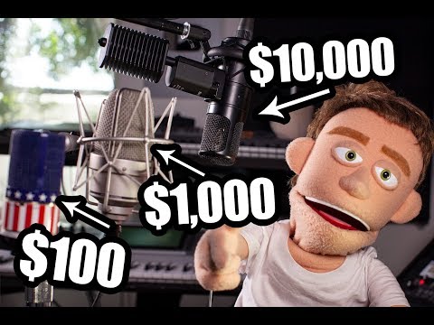 $10,000 mic vs $100 mic