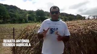 FECHAMENTO DO SILO TIPO SUPERFÍCIE(1)