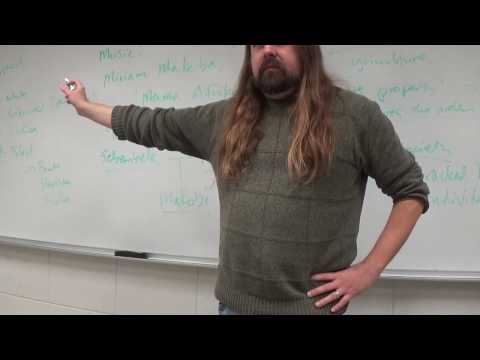 Bessie Head video 1