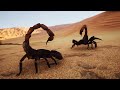 CINEMATIC 3D DESERT Logo Animation