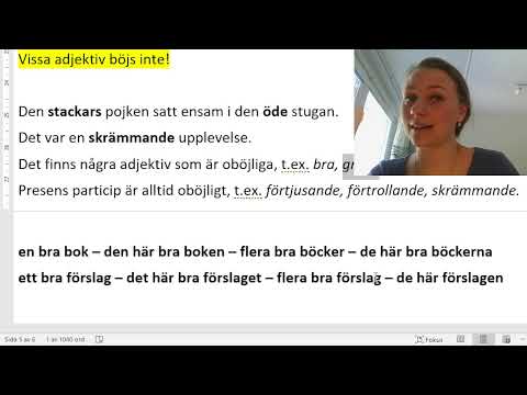 Grammatiklektion - adjektiv + substantiv på lätt svenska