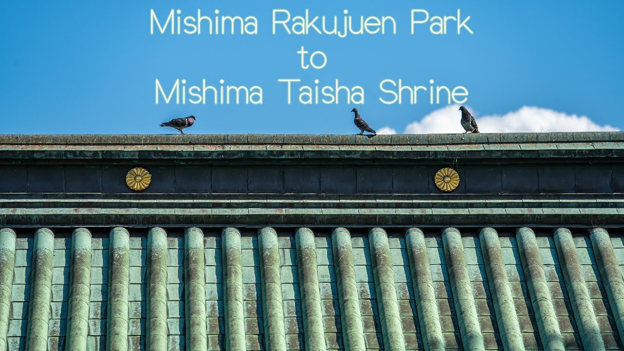 Immersive street-level walking tour through Mishima Rakujuen, Japan, showcasing authentic urban landscapes, local architecture, and the vibrant atmosphere of the city's neighborhoods