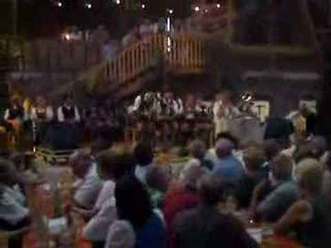 S'Krammererfest 2008 in Utzenaich