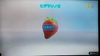 [家族で実況]ピクミン3デラックス　2日目