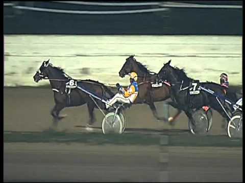 Trotto 21/01/2016 - 6° corsa