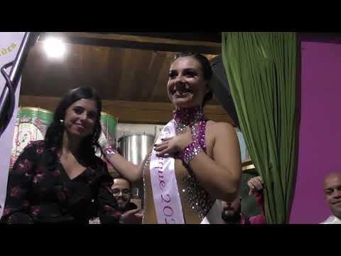 Sócios da Mangueira - Eleitas Destaque (Carina+Diana+Isa Mara+Ana Rita) @Eleição Destaques 2020