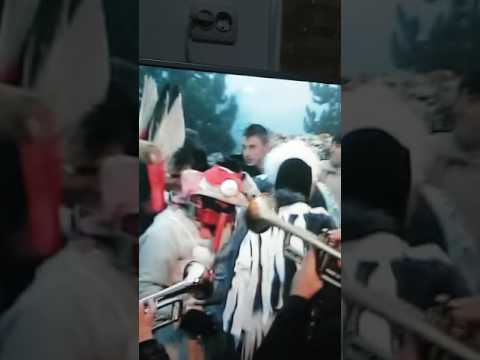 Capra de la petresti.bacau.