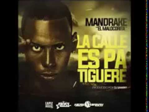 Mandrake El Malocorita - La Calle Es Pa Tigere ( NUEVO 2014 ) El Army