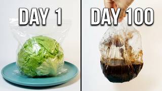So as it turns out lettuce really is mostly water...