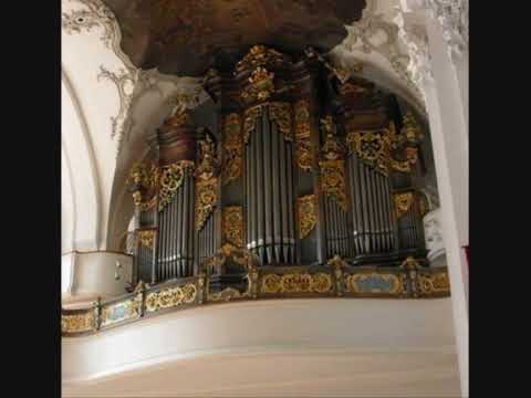 Bach: Toccata et fugues en Ré mineur - Orgues ♫