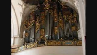 Bach: Toccata et fugues en Ré mineur - Orgues ♫