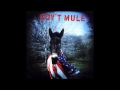 Gov't Mule - Grinnin' In Your Face / Mother Earth