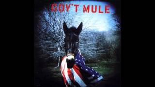Gov&#39;t Mule - Grinnin&#39; In Your Face / Mother Earth