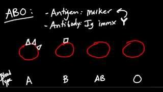 Blood Type (ABO and Rh) Made Simple!