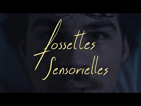 Fossettes sensorielles